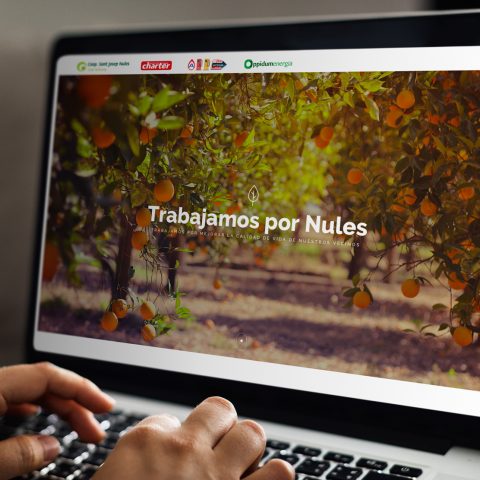 Web | Cooperativa San Josep Nules