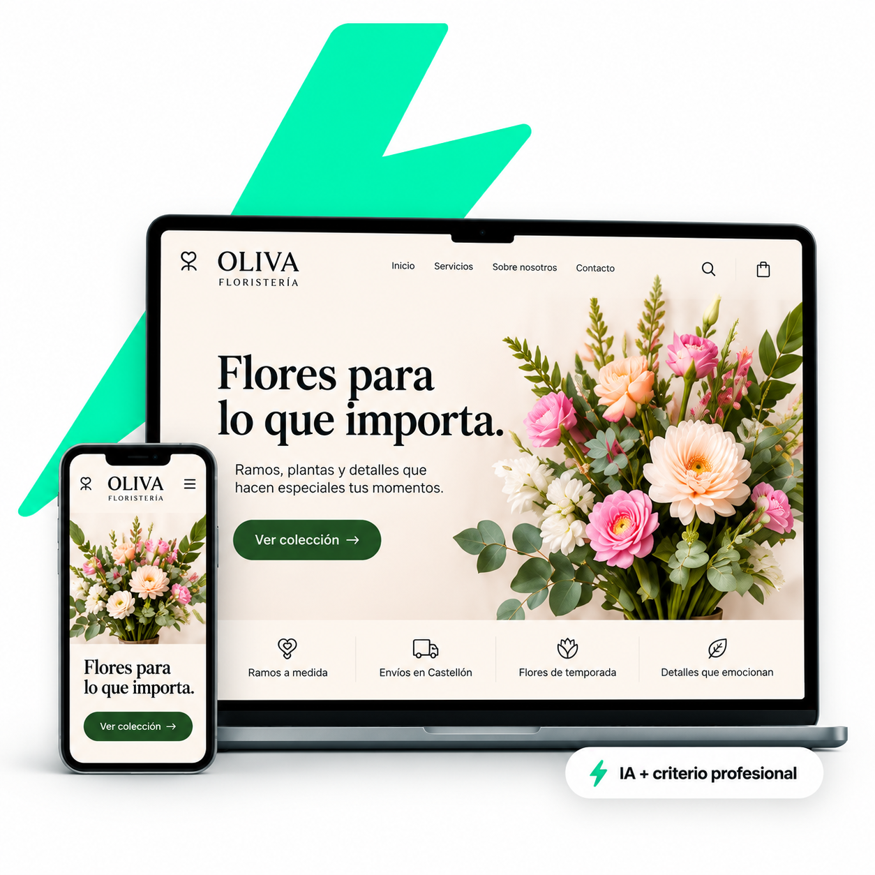 Ejemplo visual Web Express Oliva