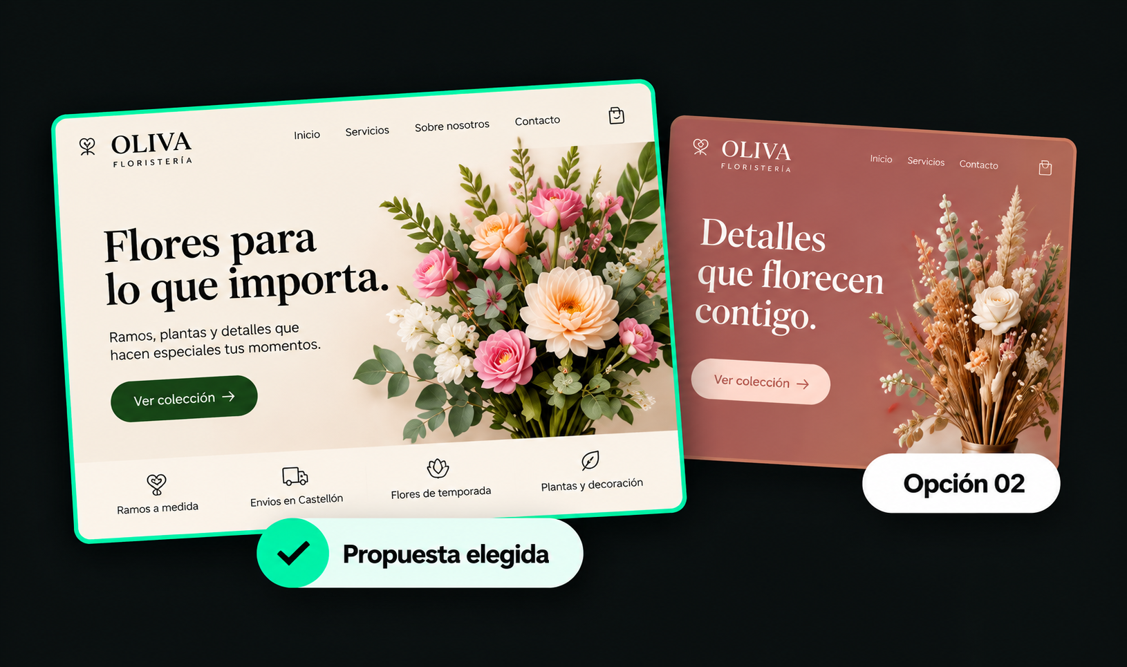 Ejemplos de propuestas visuales Web Express